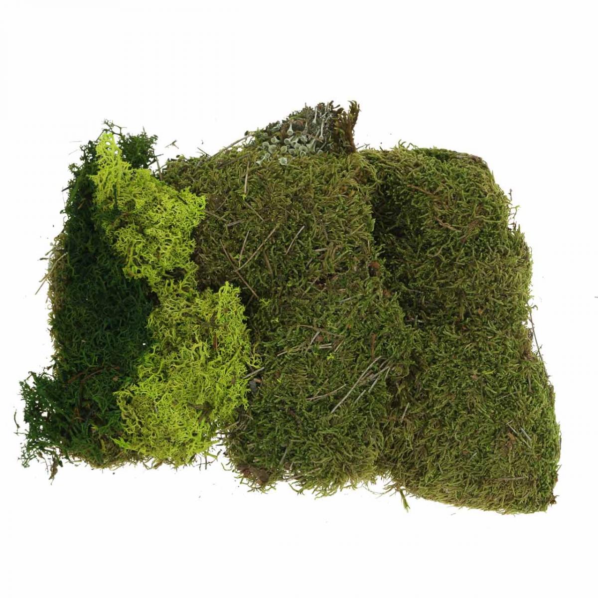 Knstliches Moos Deko Set 3 Arten  Islandmoos & Kunstmoos 50g Packungen  Zum Basteln