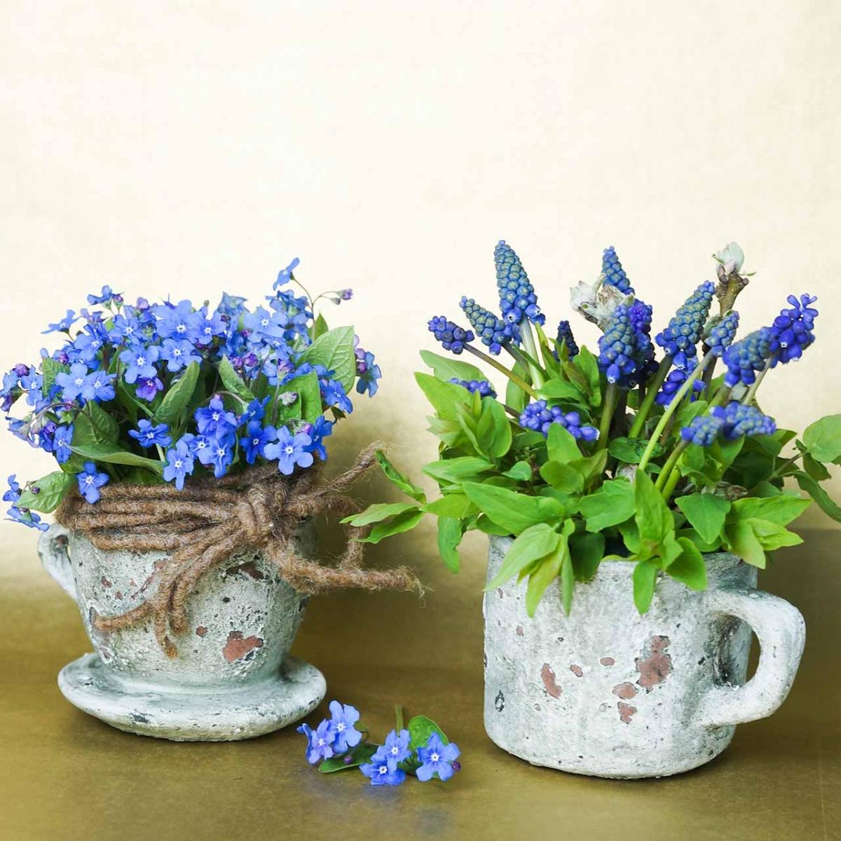 pflanztopf mit loch Eleganter Beton-Blumentopf mit nordischem Motiv, Ø 11cm, blau/grau mit  Abflussloch