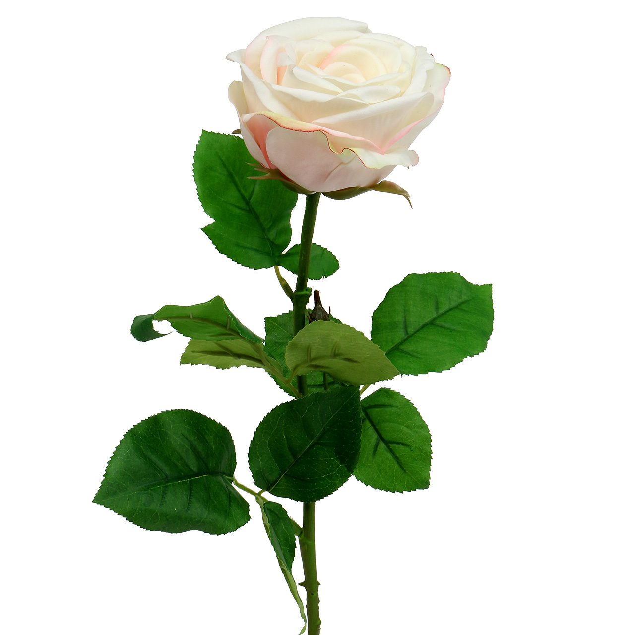 Floristik24.de Künstliche Rose Creme 69cm-87560