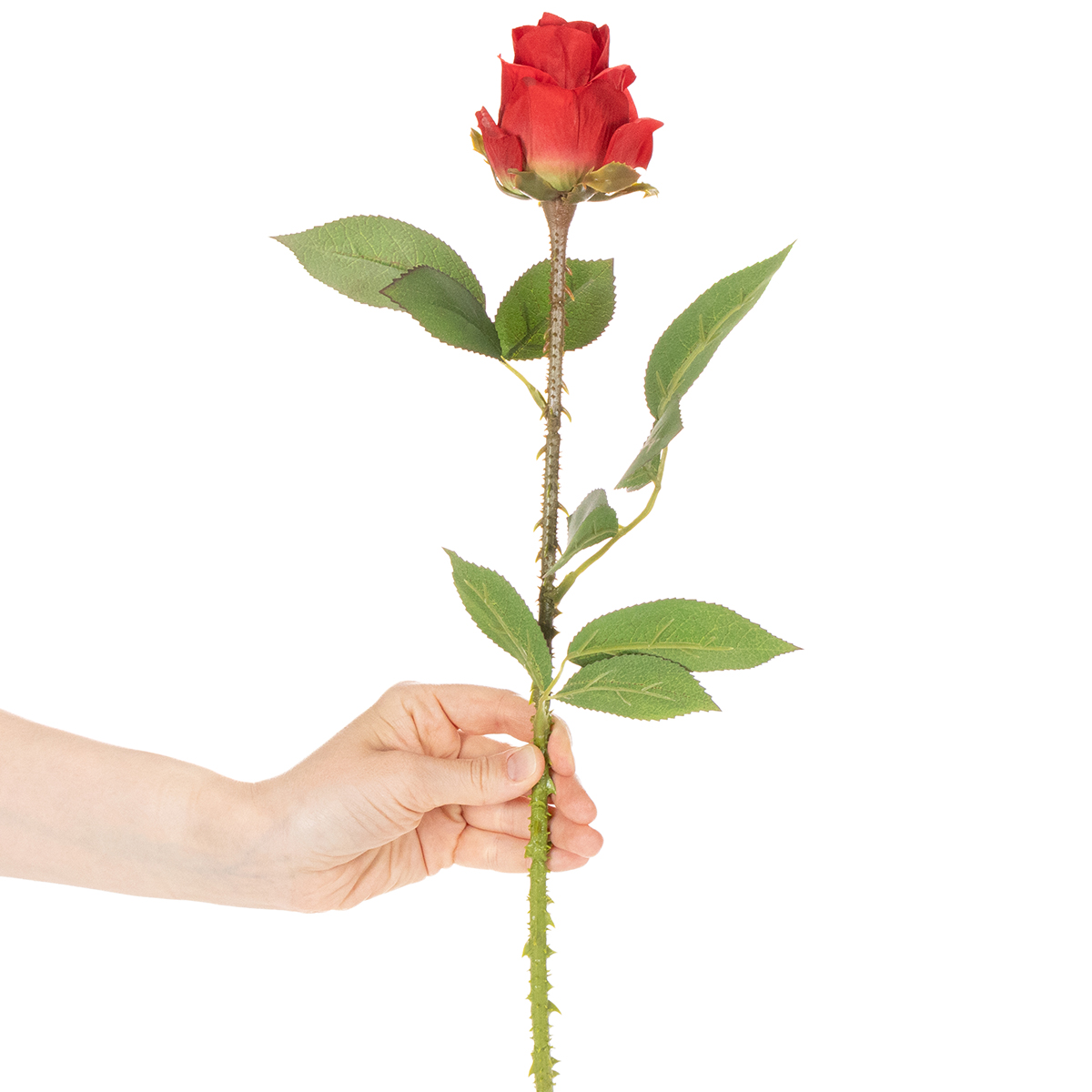 pflanzstab 120 cm bellissa Pflanzstab 120 cm Ø 11mm – Rasenkante 24 main image 1