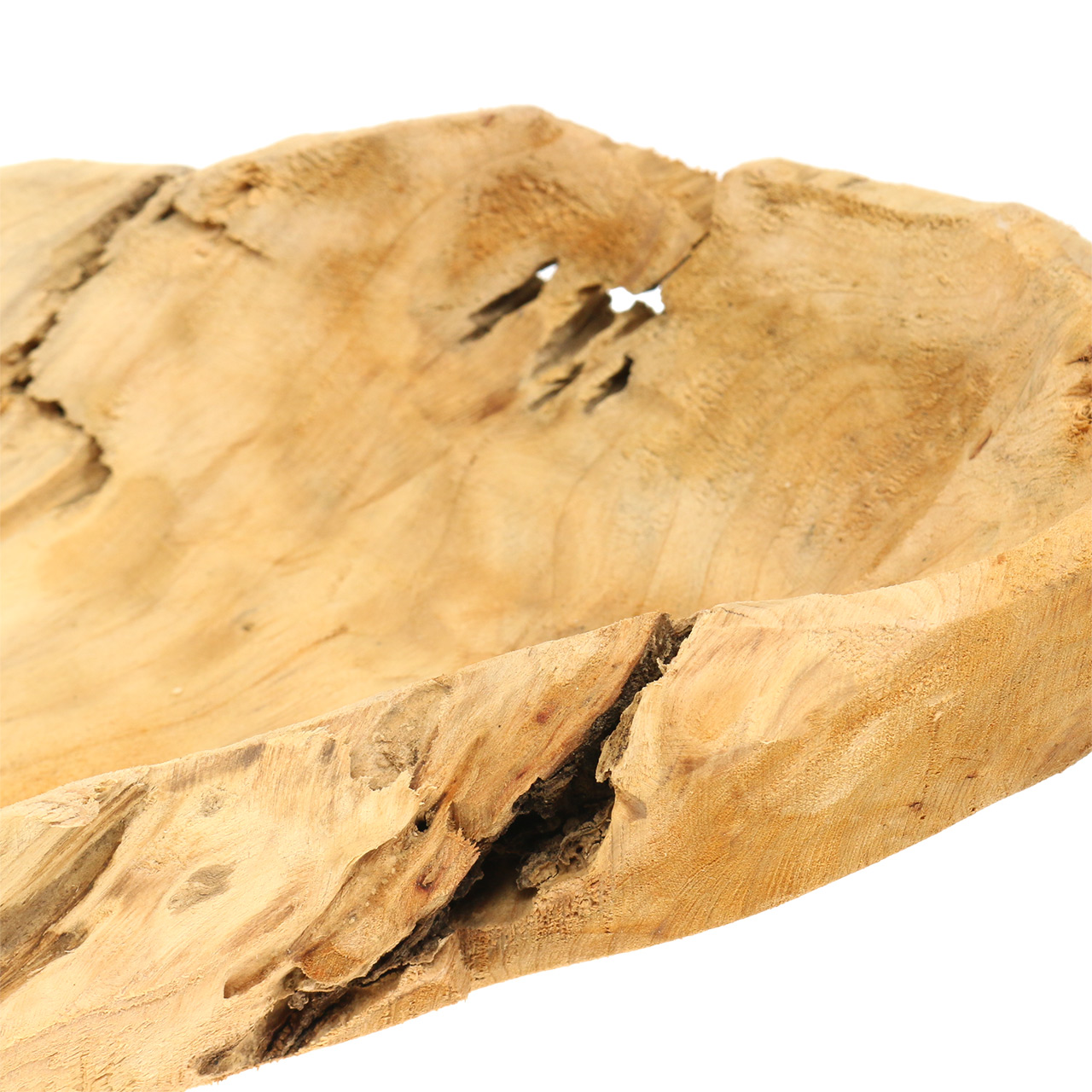 Floristik24.de Schale Wurzelholz 50cm x 17cm H8cm65698