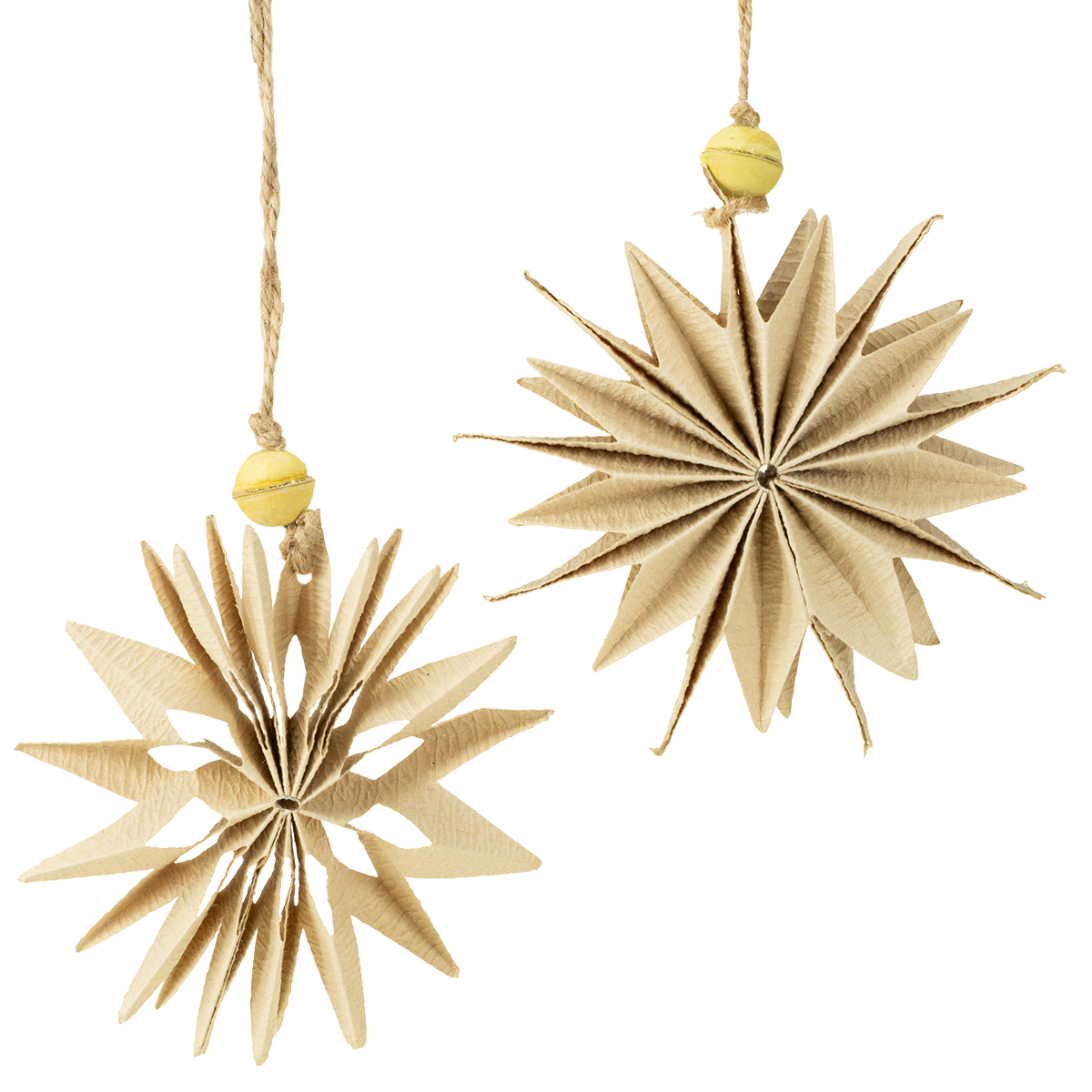 Zapfen trocknen und haltbar machen Wissenswertes