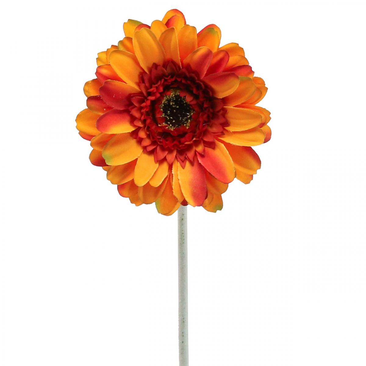 Floristik24.de Künstliche Gerbera Blume, Kunstblume Orange Ø11cm 50cm-08150