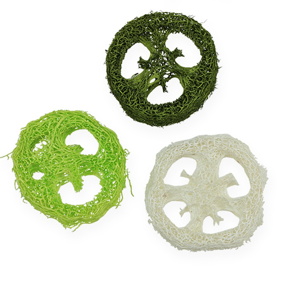 Natürliche Luffa-Scheiben – 5 Stück, Biologisch Abbaubar, Für Sanftes Peeling
