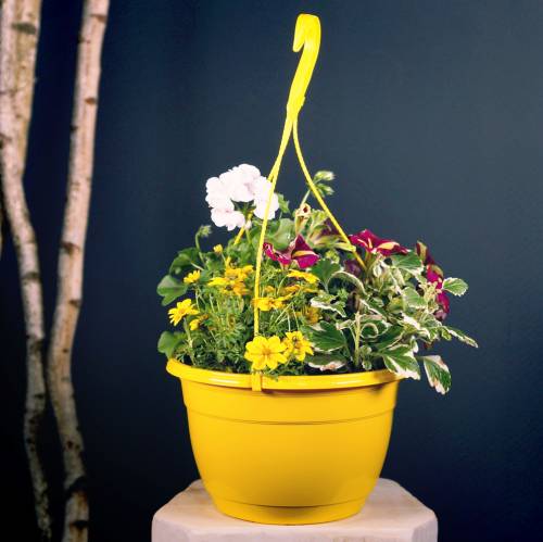 Blumenampel Ø30cm Terrakotta