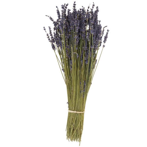 Floristik24 Getrockneter Lavendel Bund, Trockenblume Lavendel Blau 38–40cm 90g