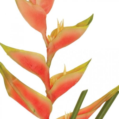 Helikonie künstlich Kunstblumen Exoten Rosa, Grün H103cm