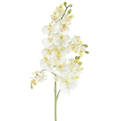 Floristik24 Phalaenopsis Künstliche Orchideen Kunstblumen Weiß 70cm