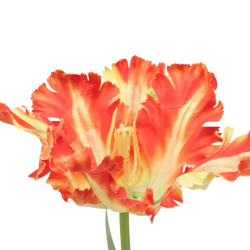 Floristik24 Kunstblume Papageientulpe künstlich Tulpe Orange 69cm