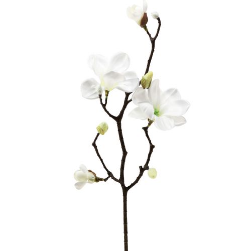 Floristik24 Kunstblume Magnolienzweig Magnolie künstlich Weiß 58cm