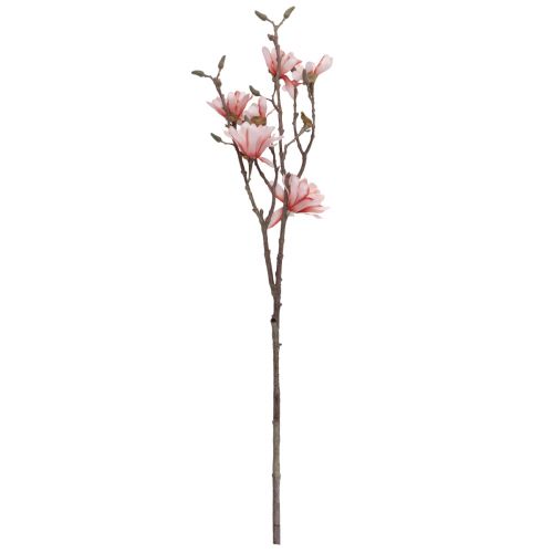 Floristik24 Magnolienzweig mit 6 Blüten Magnolie künstlich Lachs 84cm