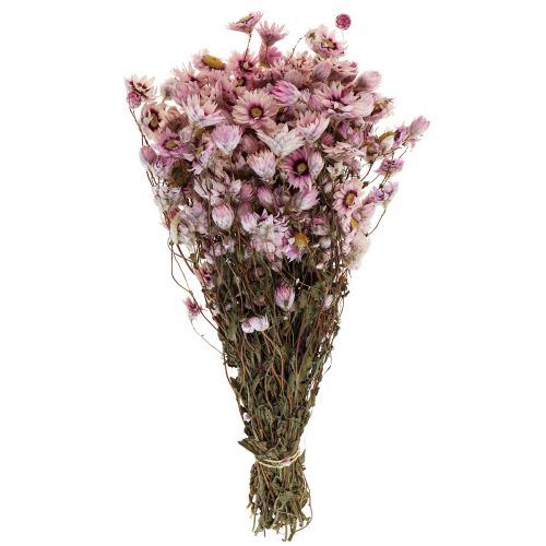 Strohblumen Trockenblumen Weiß Rosa 20-35cm Bund 40g
