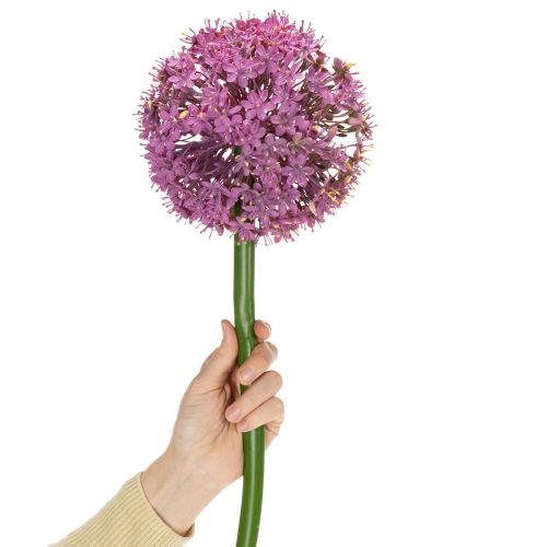 Kunstblume Allium Zierlauch elegante Raumdekoration 90cm | Floristik24.de
