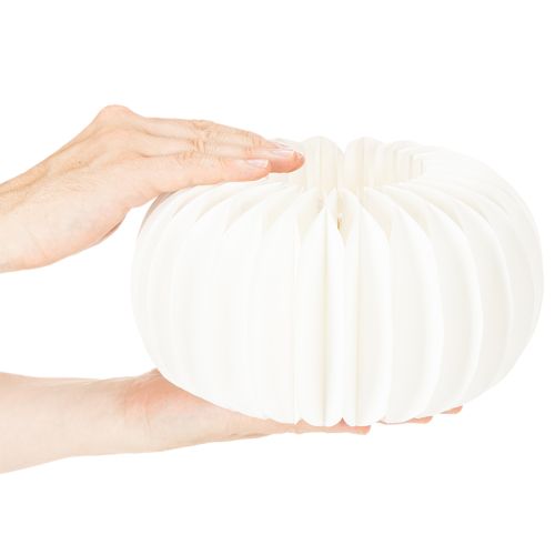 Wabenpapier Ring Kürbis rund groß für Trockenblumen und Herbstdeko 24cm 4St | Floristik24.de