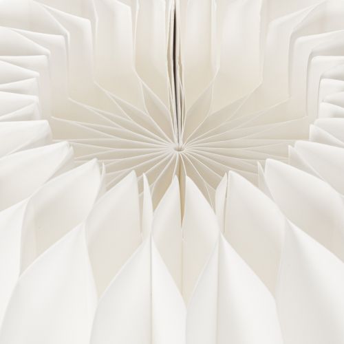 Wabenpapier Ring Kürbis rund groß für Trockenblumen und Herbstdeko 24cm 4St | Floristik24.de