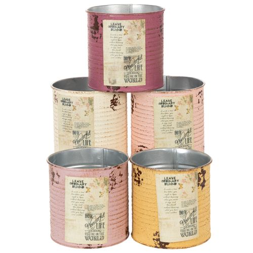 Deko Dose Shabby Chic Metall Ø11cm H10,5cm Verschiedene Farben kaufen | Floristik24.de