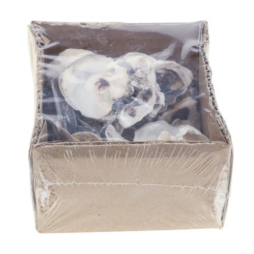 Floristik24 Austernschalen Deko Muscheln Dekoration Natur 2-6cm 250g