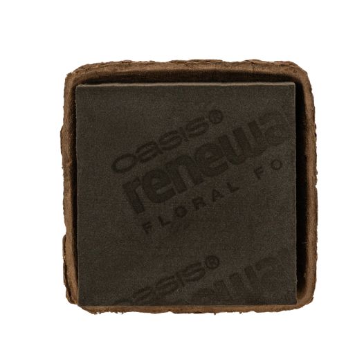 Steckschaum 1/2 Ziegel OASIS® Renewal® Floral Foam Biolit® 12cm 2S