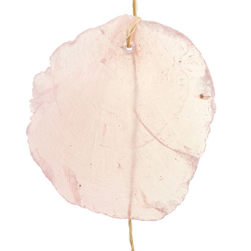 Muschel Girlande Perlmutt Muschelgirlande Capiz Rosa L108cm | Floristik24.de