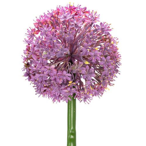 Floristik24 Kunstblume Allium Zierlauch elegante Raumdekoration 90cm