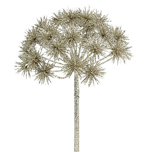 Floristik24 Allium mit Glimmer Champagner Ø18cm L70cm