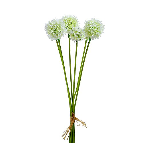 Allium 35cm Weiß 6St