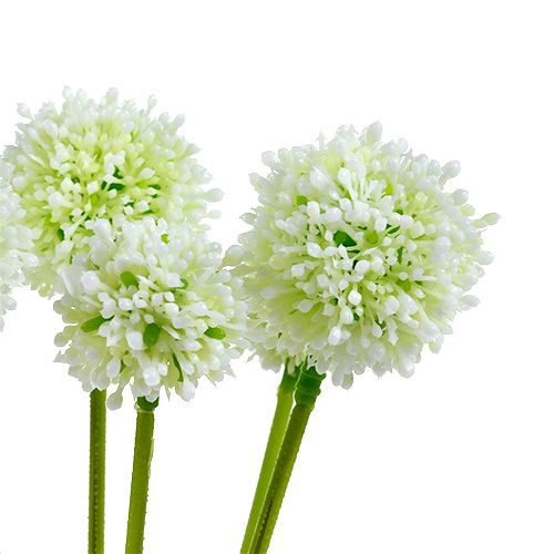 Floristik24 Allium 35cm Weiß 6St