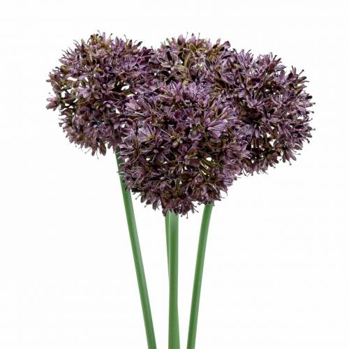 Zierlauch Allium künstlich Lila Ø7cm H58cm 4St