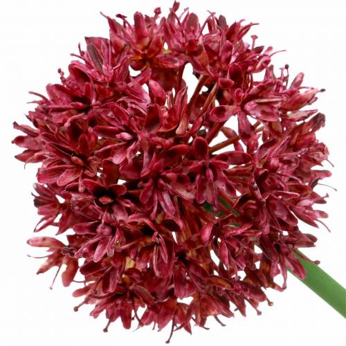 Floristik24 Zierlauch Allium künstlich Mauve Ø7cm H58cm 4St