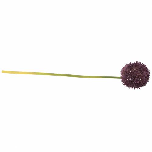 Floristik24 Zierlauch Allium künstlich Lila Ø12cm 65cm