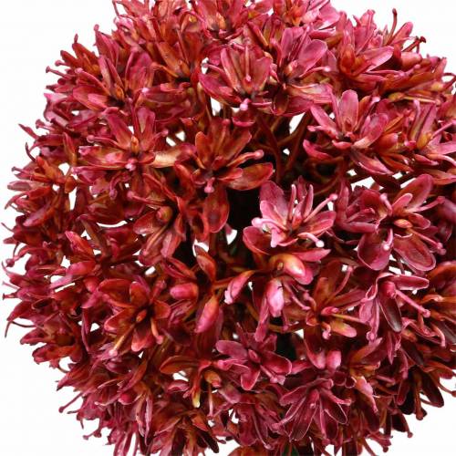 Floristik24 Zierlauch Allium künstlich Mauve Ø9cm H70cm 3St