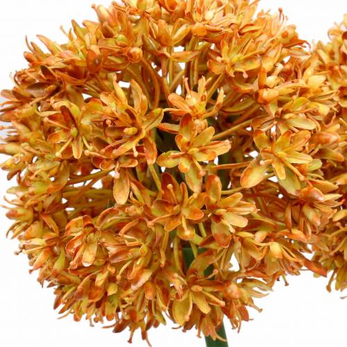 Floristik24 Zierlauch Allium künstlich Orange 70cm 3St