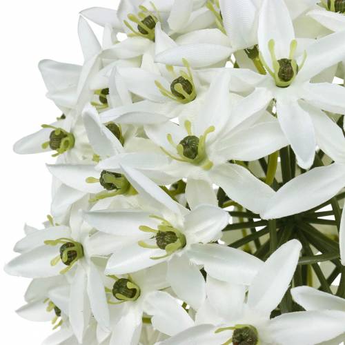Floristik24.de Deko-Blume Allium, künstlicher Kugellauch, Zierlauch Weiß  Ø20cm L72cm-11913