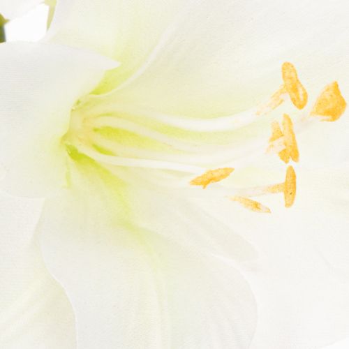 Kunstblume Amaryllis Weiß mit Stiel Advent und Weihnachten 50cm | Floristik24.de