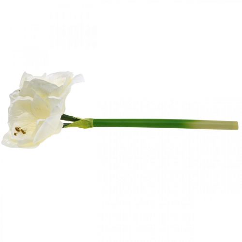 Floristik24 Kunstblume Amaryllis Weiß Ritterstern Weihnachtsdeko H40cm