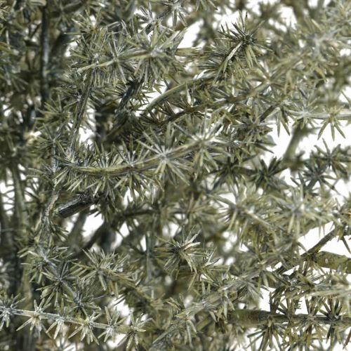 Artikel Asparagus Dekozweig Weiß gewaschen Künstlich 45cm 6St