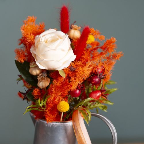 Trockenblumen Asparagus Zweig Zierspargel gefärbt 65cm 80g | Floristik24.de