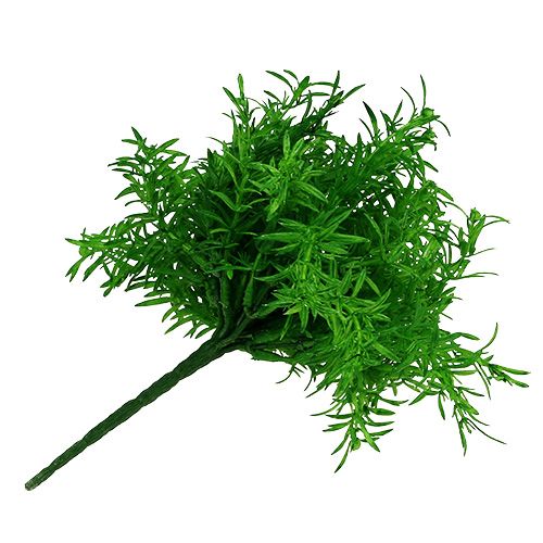 Floristik24 Asparagusbusch Grün 25cm