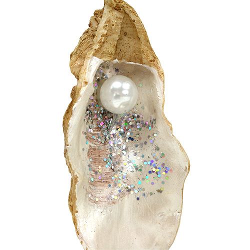 45B7 Perle Auster Oval Perle Austern Schmuck Verarbeitung Geschenke Style 