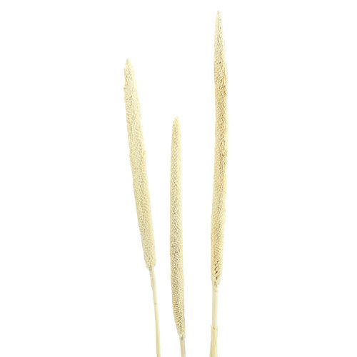 Artikel Babala Perlhirse gebleicht Trockendeko 25 St