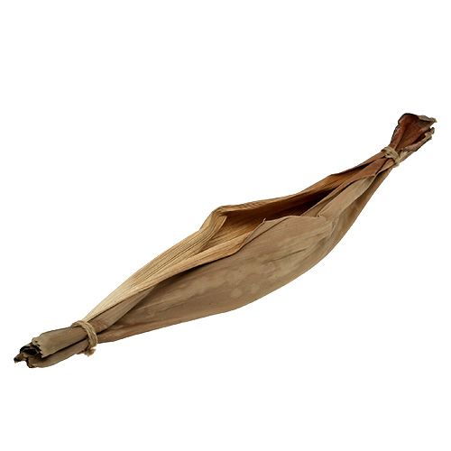 Floristik24 Bananenblatt Schale 40-45cm Natur 1 St