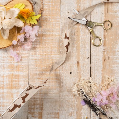 Geschenkband Dackel Hundemotiv für DIY und Basteln 15mm 18m | Floristik24.de
