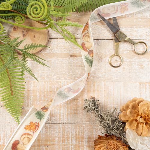 Dekoband mit Pilzen und Herbstlaub Motiv 25mm 18m | Floristik24.de
