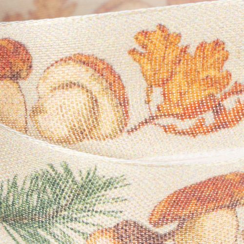 Dekoband mit Pilzen und Herbstlaub Motiv 25mm 18m | Floristik24.de