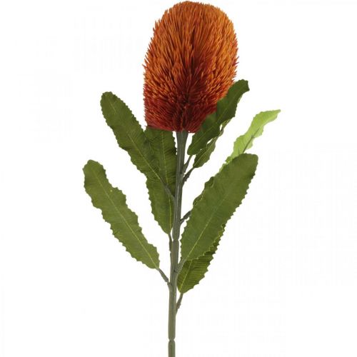 Artikel Kunstblume Banksia Orange Herbstdeko Trauerfloristik 64cm