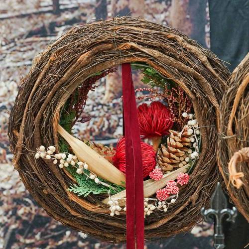 Floristik24 Banksia Baxteri Banksie Exoten Trockenblumen Rot 10 St