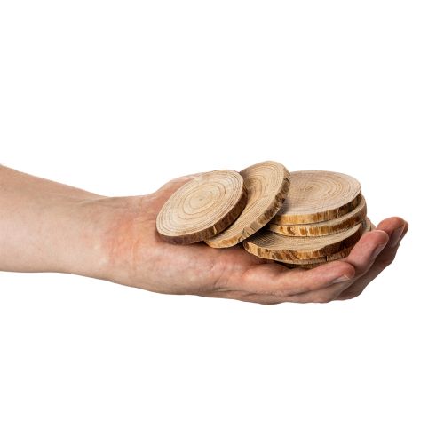 Holzscheiben natur rund Dekoration und Basteln 6cm 300g | Floristik24.de