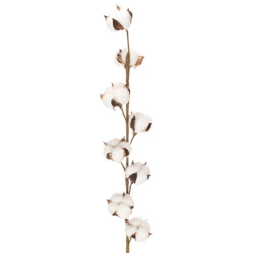 Künstlicher Baumwollzweig mit 8 echten Blüten 78cm kaufen | Floristik24.de