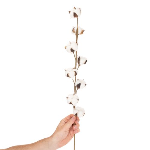 Künstlicher Baumwollzweig mit 8 echten Blüten 78cm | Floristik24.de