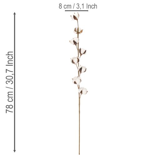 Künstlicher Baumwollzweig mit 8 echten Blüten 78cm | Floristik24.de